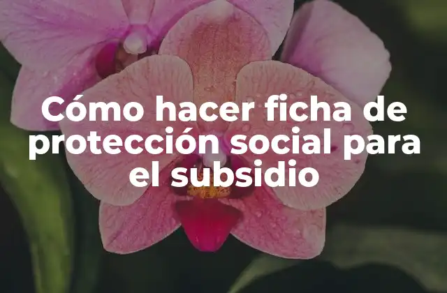 Cómo Hacer Ficha de Protección Social para el Subsidio