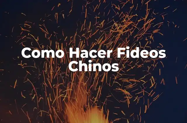¿Qué son los Fideos Chinos?