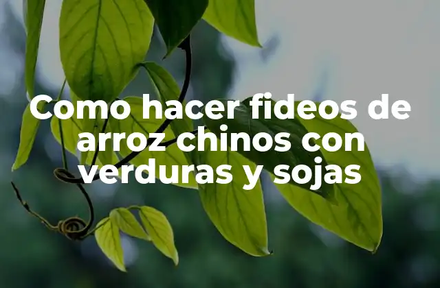 Como Hacer Fideos de Arroz Chinos con Verduras y Sojas