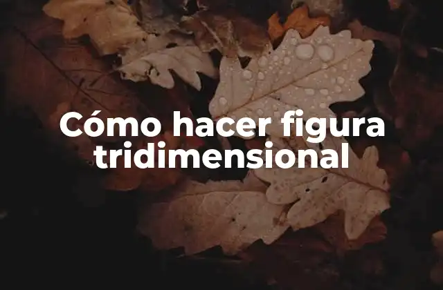 Cómo Hacer Figura Tridimensional