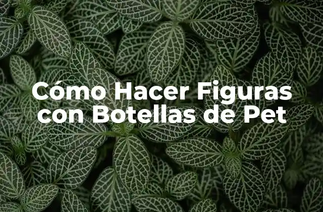 Cómo Hacer Figuras con Botellas de Pet