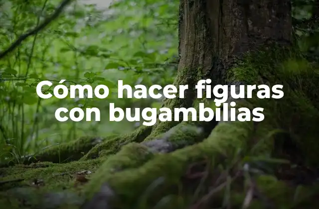 Cómo Hacer Figuras con Bugambilias
