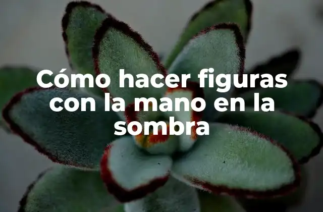 Cómo Hacer Figuras con la Mano en la Sombra