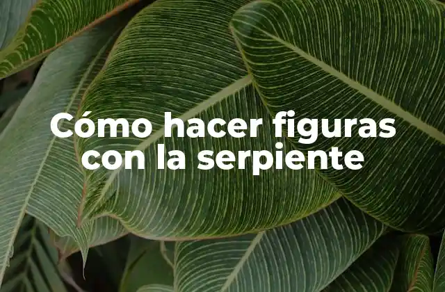 Cómo Hacer Figuras con la Serpiente