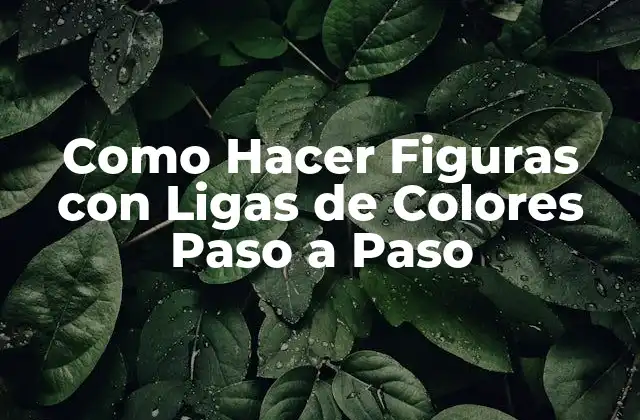 Como Hacer Figuras con Ligas de Colores Paso a Paso