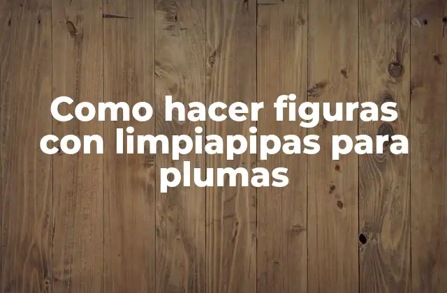 Como Hacer Figuras con Limpiapipas para Plumas