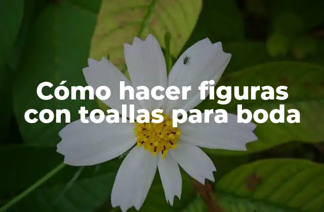 Cómo Hacer Figuras con Toallas para Boda