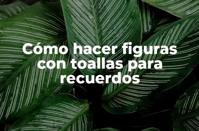 Cómo Hacer Figuras con Toallas para Recuerdos