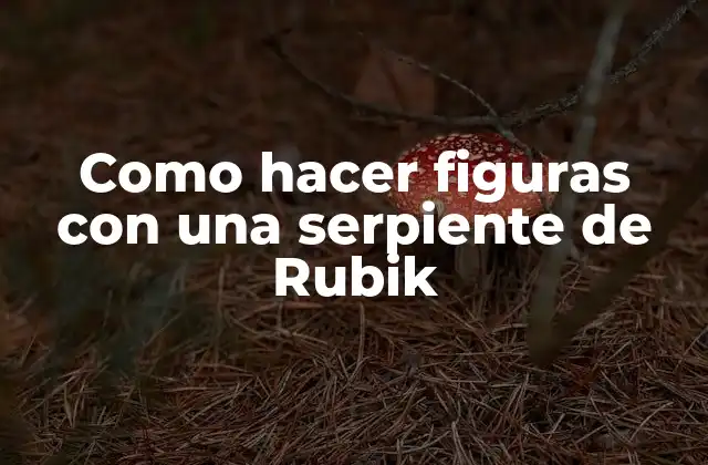 Como Hacer Figuras con una Serpiente de Rubik 2 ¿Qué es una serpiente de Rubik y para qué sirve?