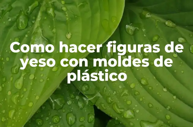 Como Hacer Figuras de Yeso con Moldes de Plástico