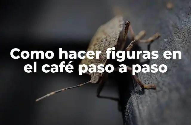 Como Hacer Figuras en el Café Paso a Paso