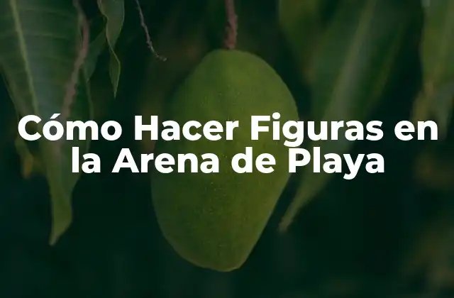 Cómo Hacer Figuras en la Arena de Playa