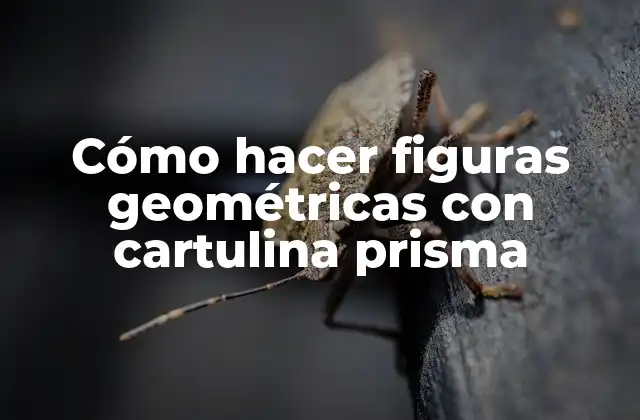 Cómo Hacer Figuras Geométricas con Cartulina Prisma