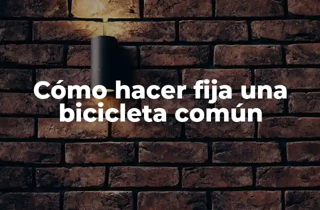 ¿Qué es una bicicleta fija?