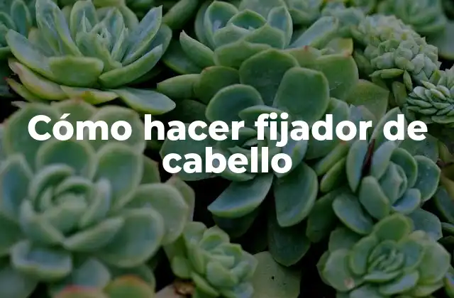 Cómo Hacer Fijador de Cabello