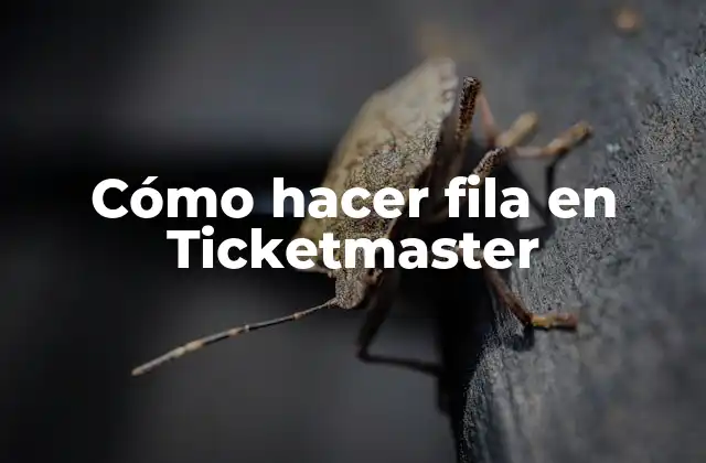 Cómo Hacer Fila en Ticketmaster