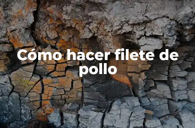 Cómo Hacer Filete de Pollo