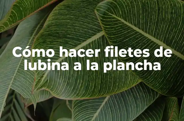 Cómo Hacer Filetes de Lubina a la Plancha