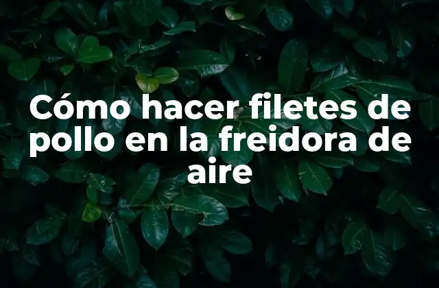 Cómo Hacer Filetes de Pollo en la Freidora de Aire