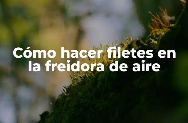 Cómo Hacer Filetes en la Freidora de Aire