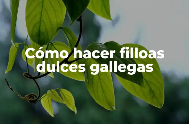 Cómo Hacer Filloas Dulces Gallegas