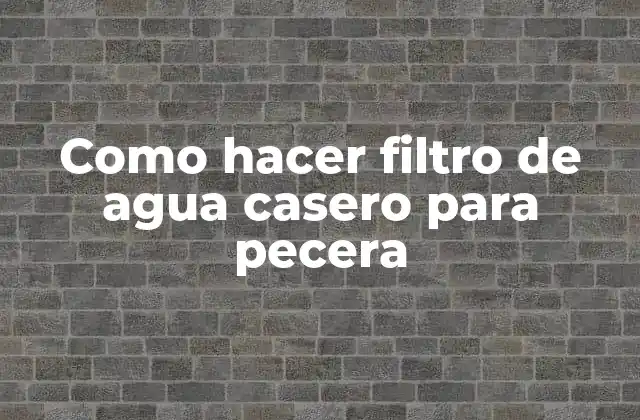 Como Hacer Filtro de Agua Casero para Pecera