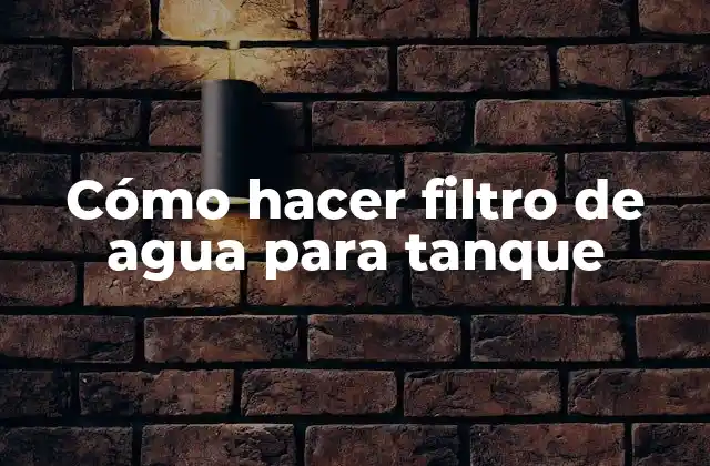 Cómo Hacer Filtro de Agua para Tanque