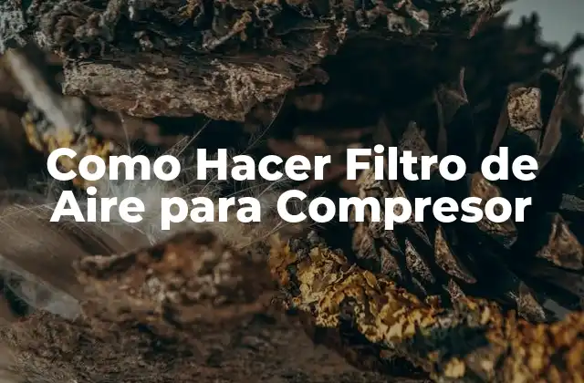 Como Hacer Filtro de Aire para Compresor 2 ¿Qué es un Filtro de Aire para Compresor?