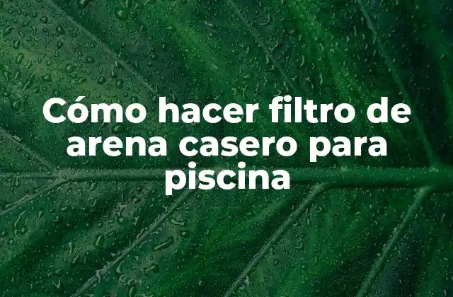 Cómo Hacer Filtro de Arena Casero para Piscina