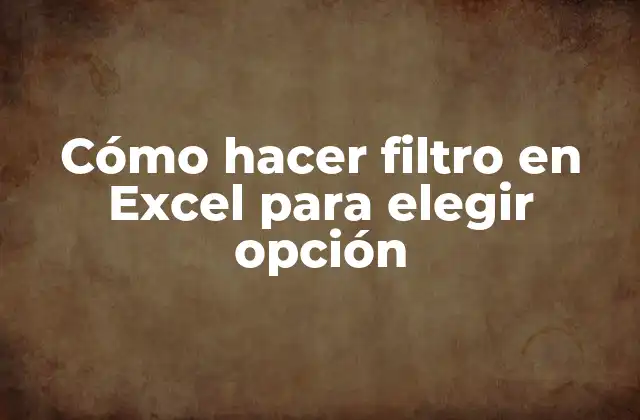 Cómo Hacer Filtro en Excel para Elegir Opción 2 Cómo hacer filtro en Excel para elegir opción