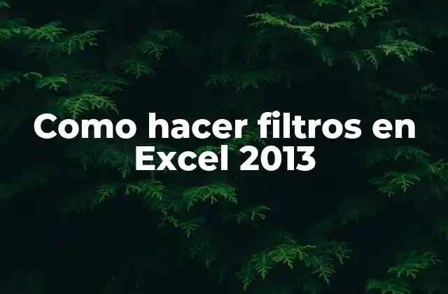Como Hacer Filtros en Excel 2013