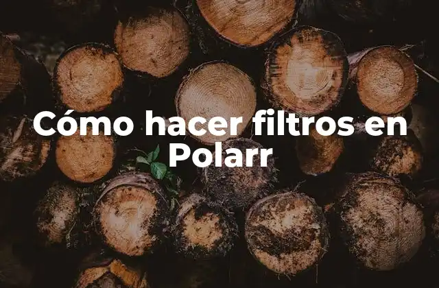 Cómo Hacer Filtros en Polarr