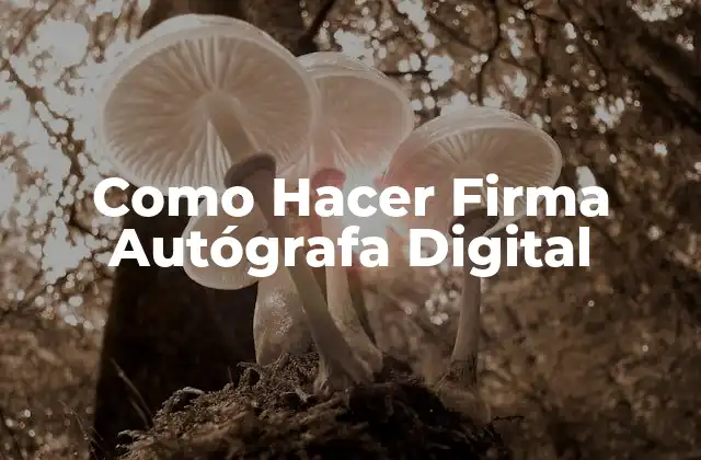 Como Hacer Firma Autógrafa Digital