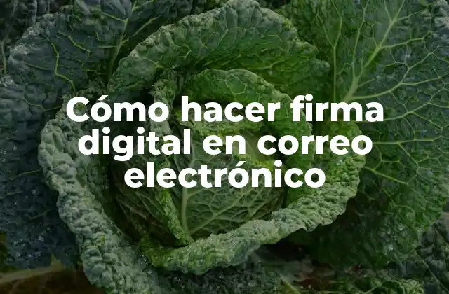 Cómo Hacer Firma Digital en Correo Electrónico