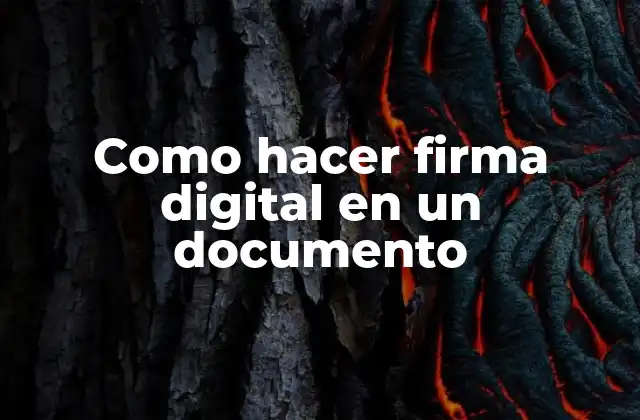 Como Hacer Firma Digital en un Documento
