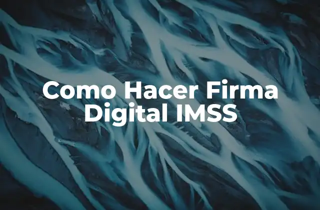 Como Hacer Firma Digital Imss 2 ¿Qué es una Firma Digital IMSS y para Qué Sirve?