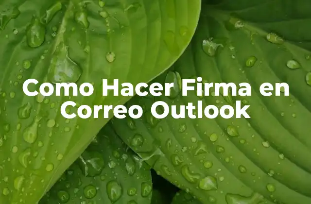 Como Hacer Firma en Correo Outlook