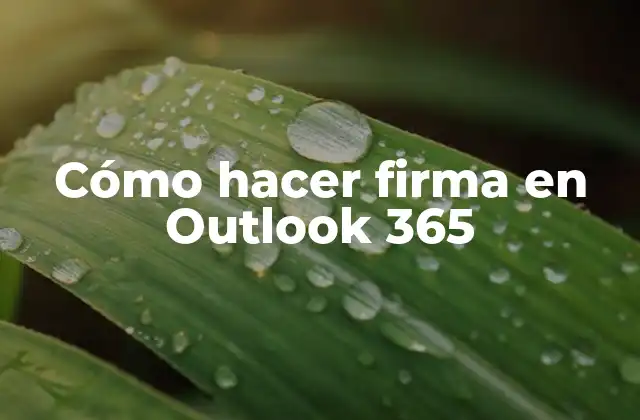 Cómo Hacer Firma en Outlook 365