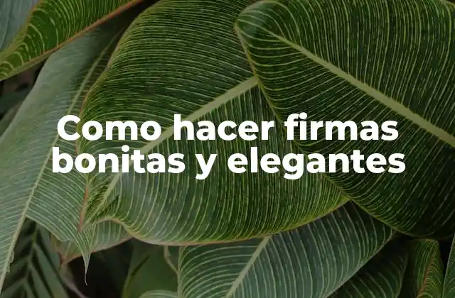 Como Hacer Firmas Bonitas y Elegantes