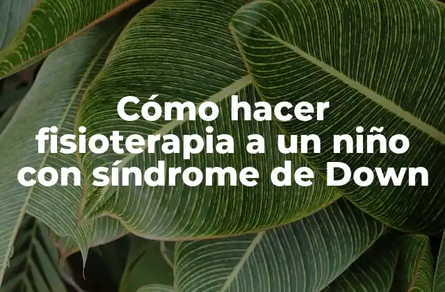 Cómo Hacer Fisioterapia a un Niño con Síndrome de Down