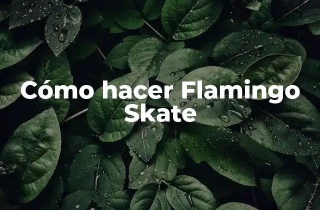 Cómo Hacer Flamingo Skate