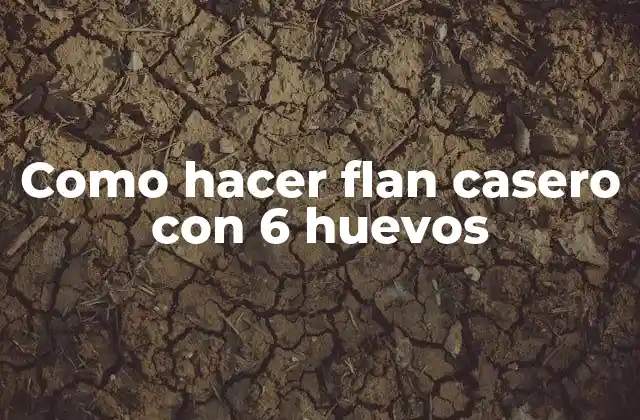 Como Hacer Flan Casero con 6 Huevos