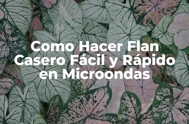 Como Hacer Flan Casero Fácil y Rápido en Microondas 2 ¿Qué es un Flan Casero y Cómo se Usa?