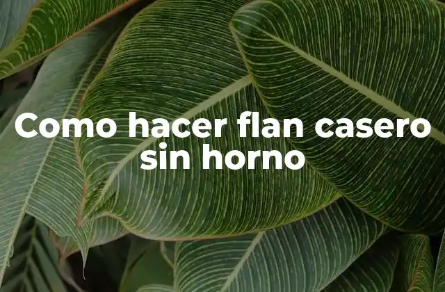 Como Hacer Flan Casero sin Horno