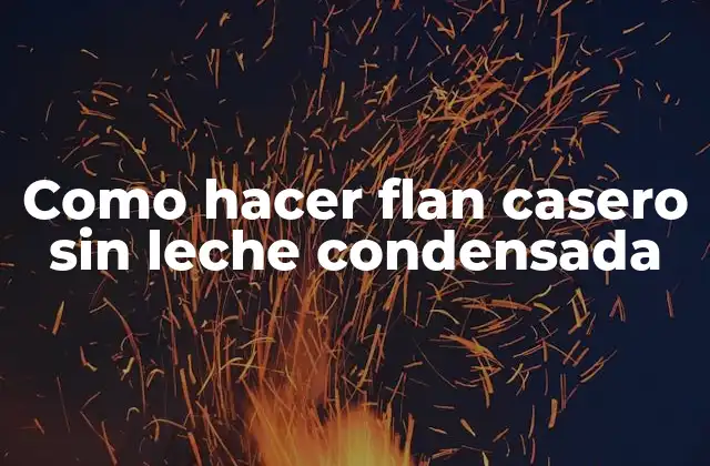 ¿Qué es el flan casero sin leche condensada y cómo se utiliza?