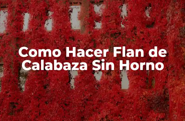 Como Hacer Flan de Calabaza sin Horno