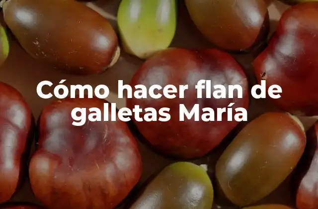 Cómo Hacer Flan de Galletas María 2 Cómo hacer flan de galletas María
