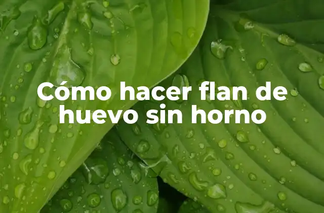 Cómo Hacer Flan de Huevo sin Horno