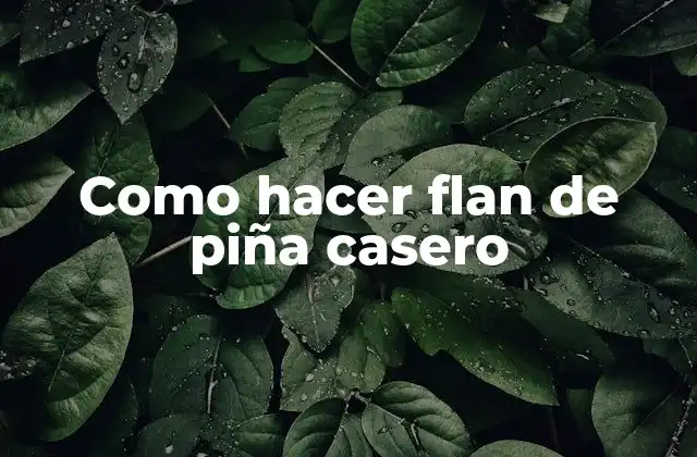 Como Hacer Flan de Piña Casero