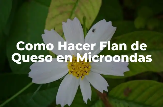 Como Hacer Flan de Queso en Microondas
